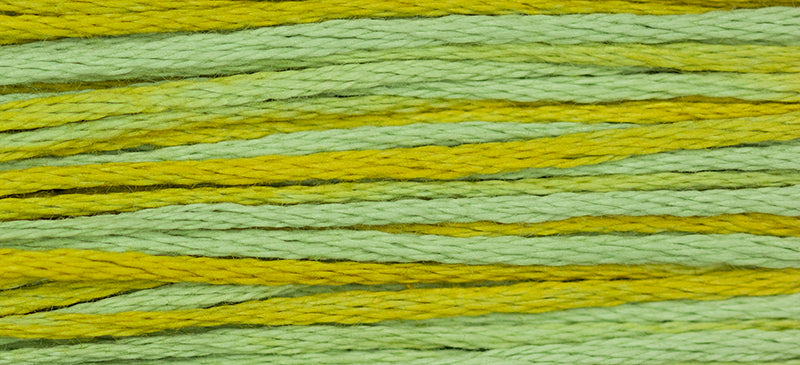 Pistachio Weeks Dye Works Embroidery Floss