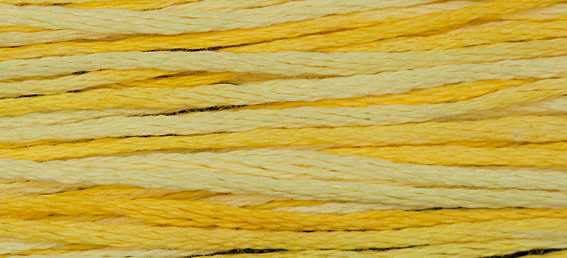 Sally's Sunshine Weeks Dye Works Embroidery Floss