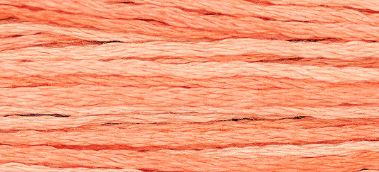 Cantaloupe Weeks Dye Works Embroidery Floss