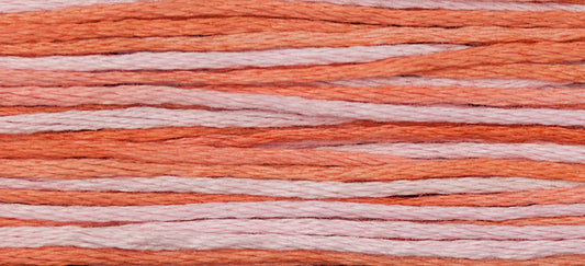 Flamingo Weeks Dye Works Embroidery Floss