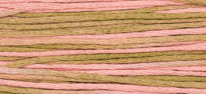 Mexicali Weeks Dye Works Embroidery Floss