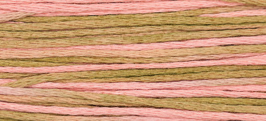 Mexicali Weeks Dye Works Embroidery Floss