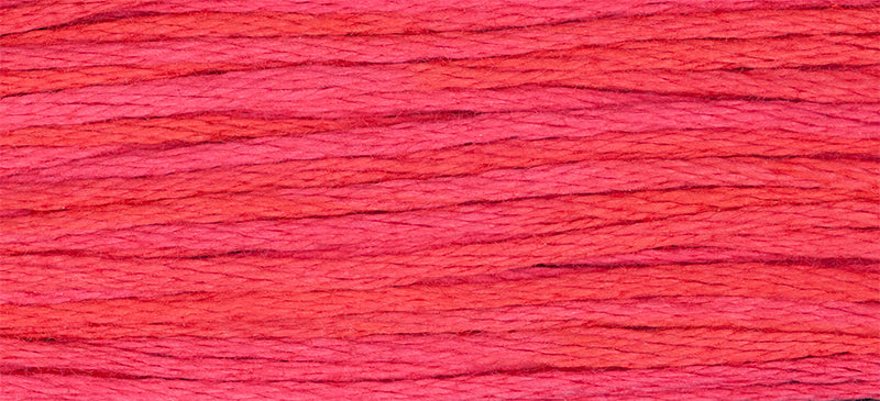 Watermelon Punch Weeks Dye Works Embroidery Floss