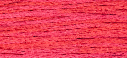 Watermelon Punch Weeks Dye Works Embroidery Floss