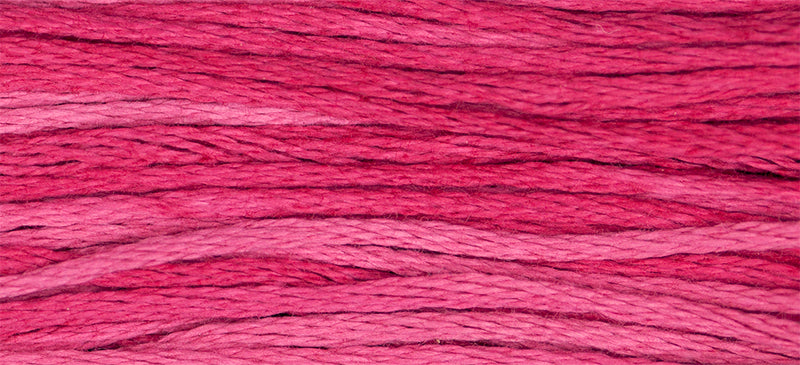 Strawberry Fields Weeks Dye Works Embroidery Floss