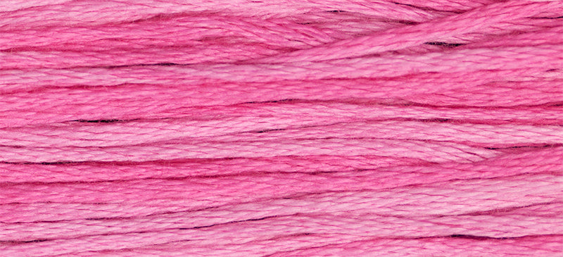 Bubble Gum Weeks Dye Works Embroidery Floss