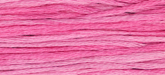 Bubble Gum Weeks Dye Works Embroidery Floss