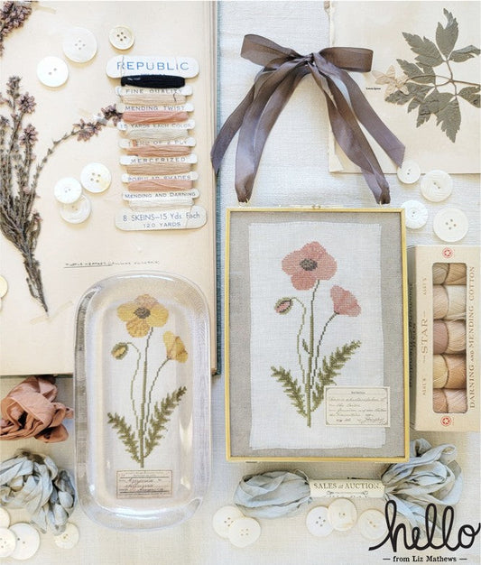 Poppy by Hello from Liz Mathews