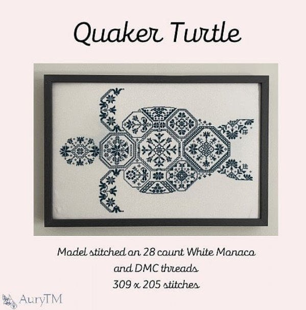 Quaker Turtle by Aury TM