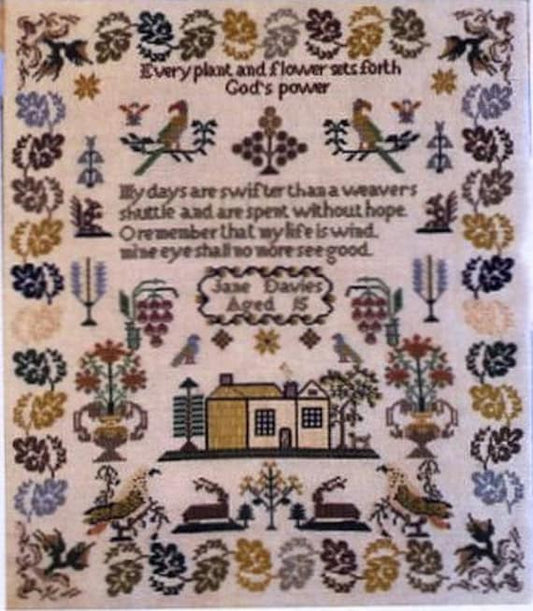 God’s Power Sampler by Mani di Donna