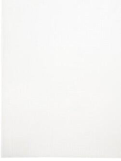14 count White Plastic Canvas by Janlynn