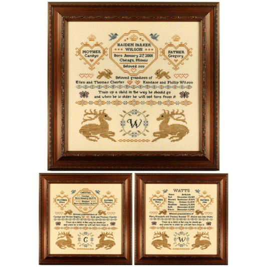 Family Record Samplers by With My Needle