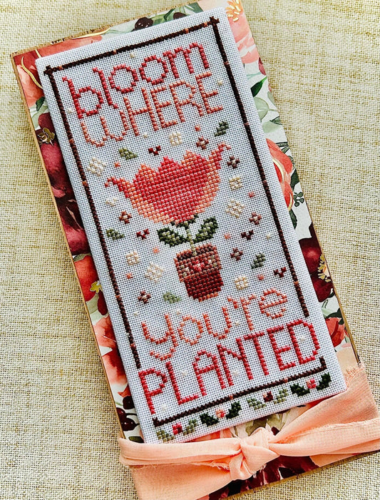 Bloom Where You’re Planted By Sweet Wing Stuido