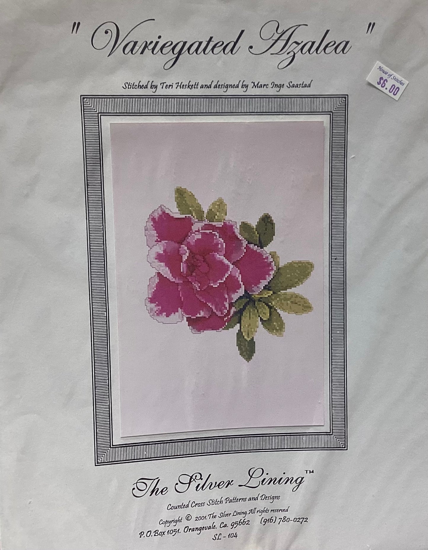 Variegated Azalea by The Silver Lining