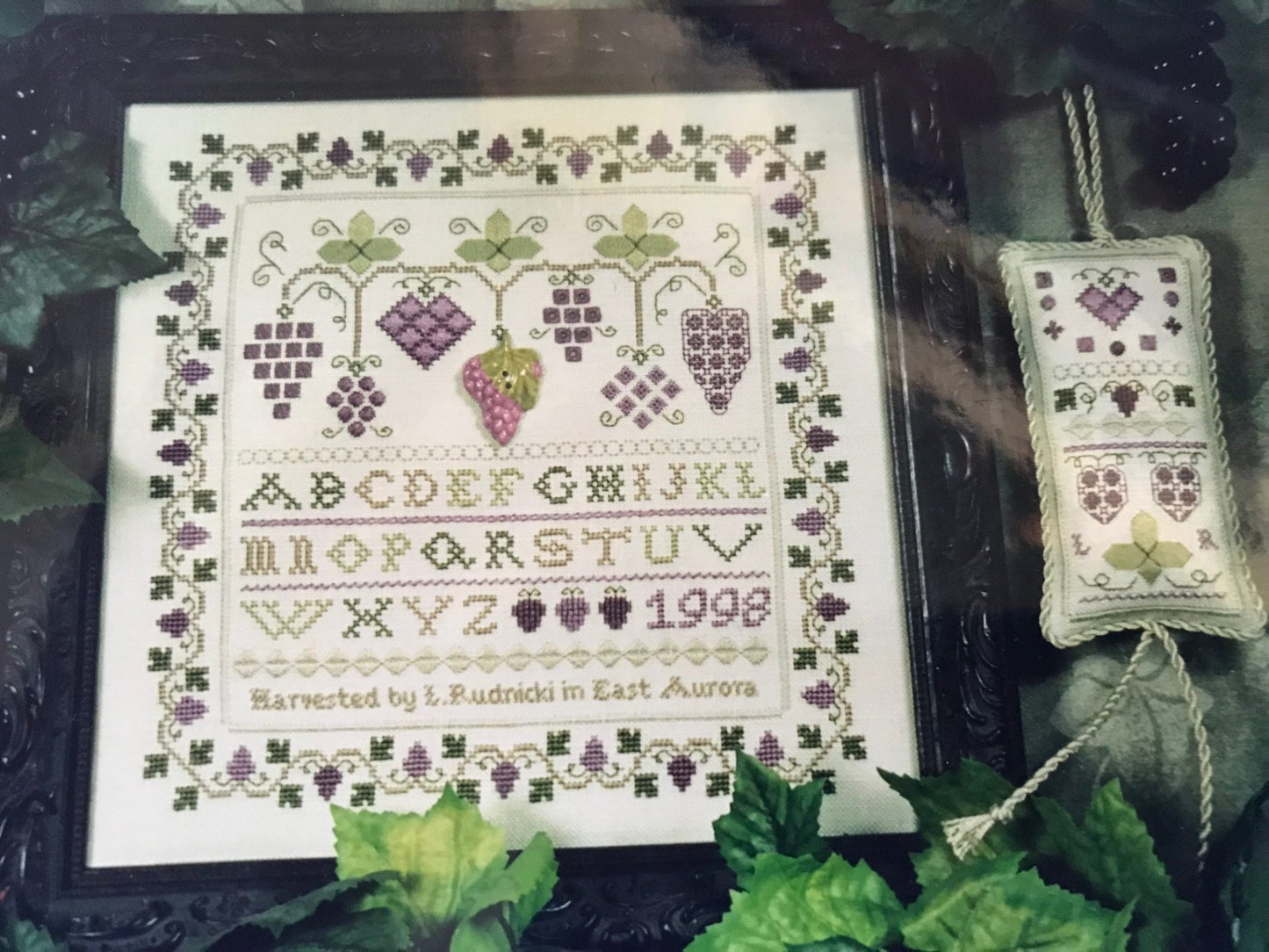 Grape Expectations by Hillside Samplings