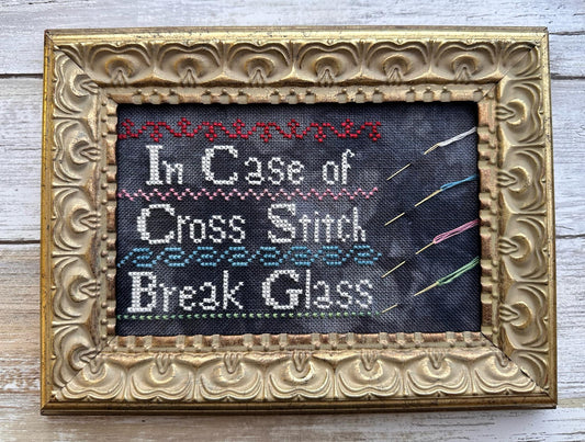 In Case of Cross Stitch  by Lucy Beam