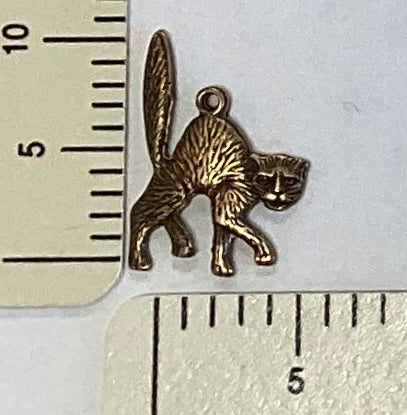 Scared Cat Charm