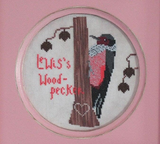 Lewis’s Woodpecker by Lindy Stitches