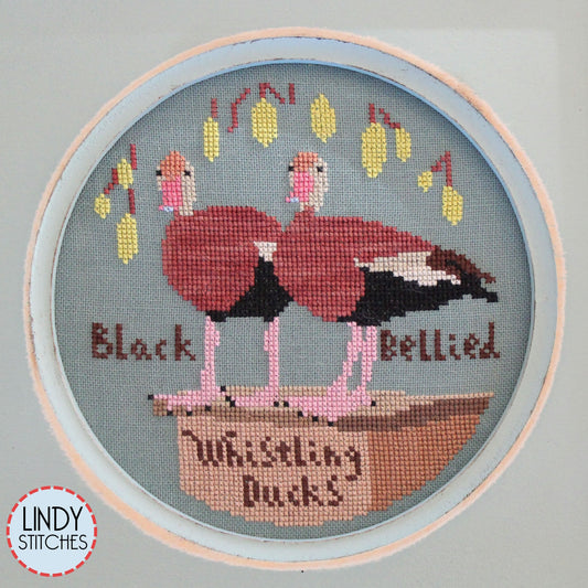 Black Bellied Whistling Ducks by Lindy Stitcehs