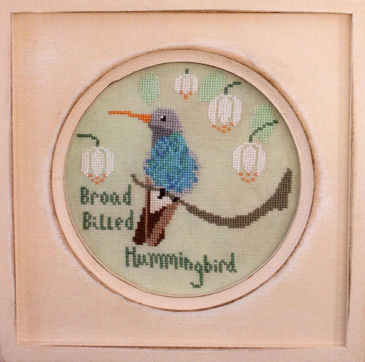 Broad Billed Hummingbird by Lindy Stitches