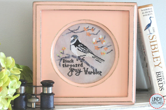Black-Throated Gray Warbler by Lindy Stitches