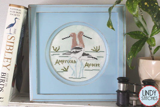 American Avocet by Lindy Stitches