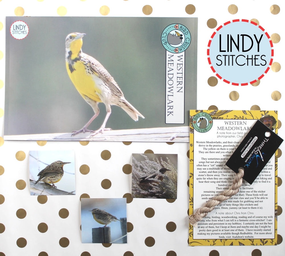 Western Meadowlark by Lindy Stitches
