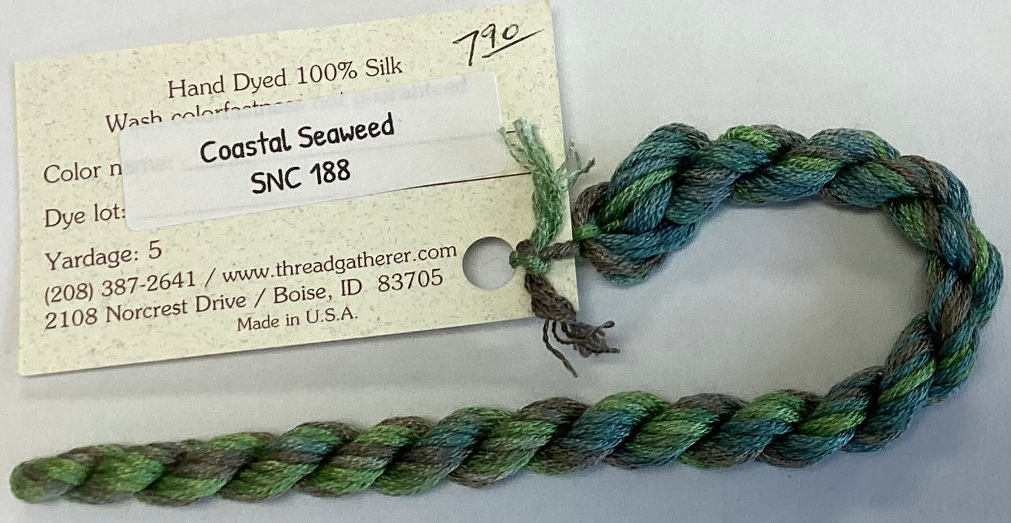 The Thread Gatherer: Silk ‘N Colors (A)