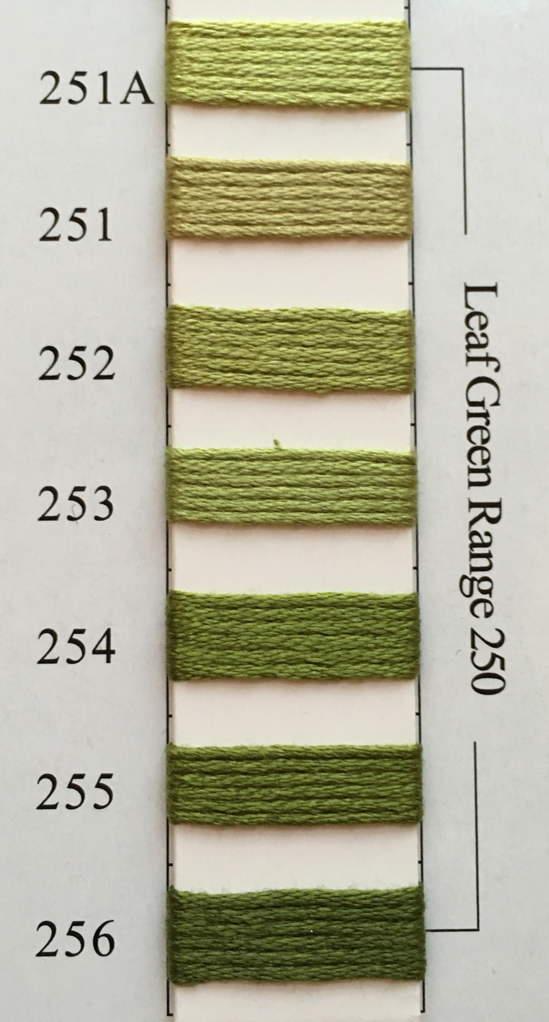 Needlepoint Inc. Silk (B)