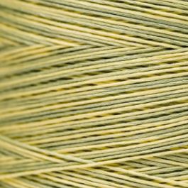 Weeks Dye Works Embroidery Floss Citronella-thru-King Mackerel