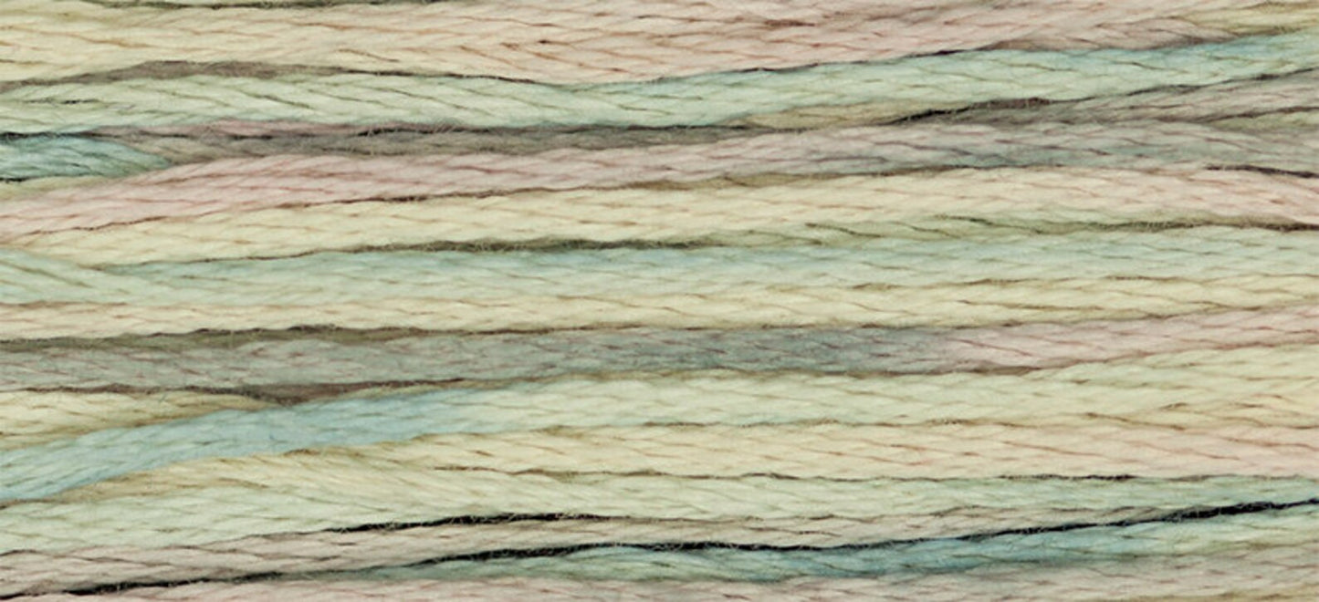 Clam Shell Weeks Dye Works Embroidery Floss