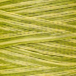 Weeks Dye Works Embroidery Floss Citronella-thru-King Mackerel